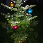 Geltoni Apartamentai شقة بالانغا