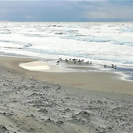 Апартаменты Geltoni Apartamentai *