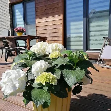 Geltoni Apartamentai Apartamento Palanga