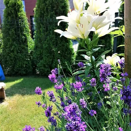 Geltoni Apartamentai