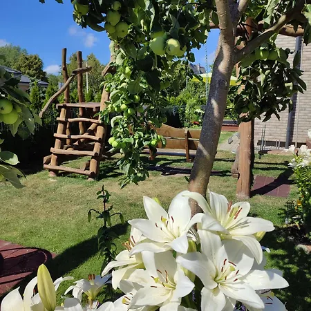 Geltoni Apartamentai