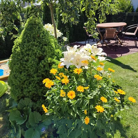 Geltoni Apartamentai Palanga