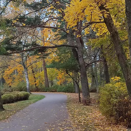 Geltoni Apartamentai * Паланга