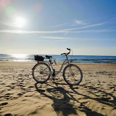 Geltoni Apartamentai * Palanga