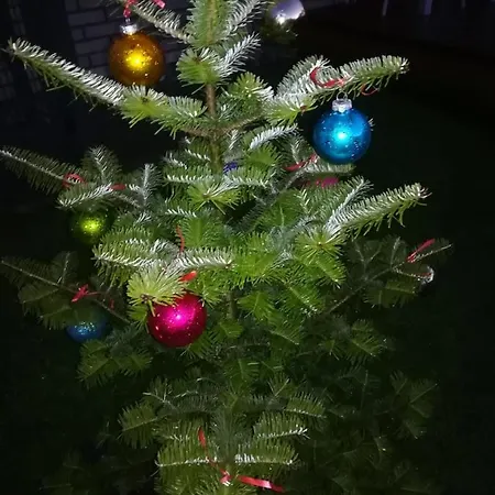 Geltoni Apartamentai Apartamento Palanga