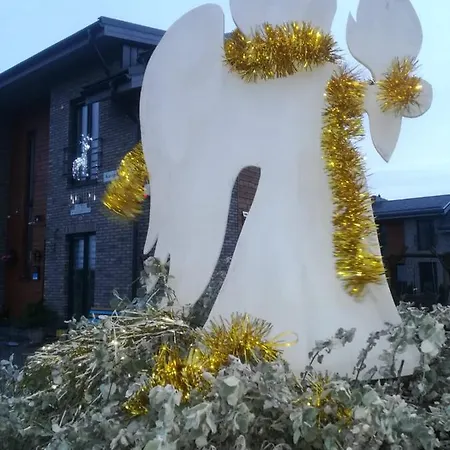 Geltoni Apartamentai Апартаменты Паланга