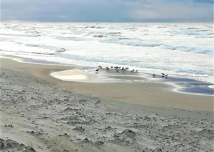 Апартаменти Geltoni Apartamentai *