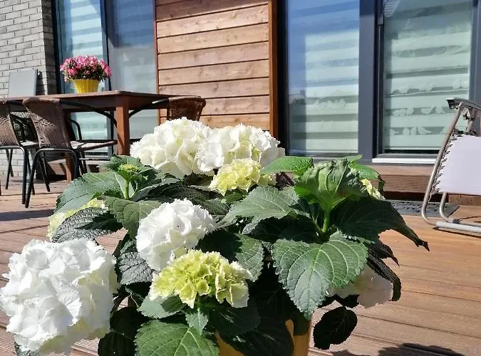 Geltoni Apartamentai Апартаменти Паланга