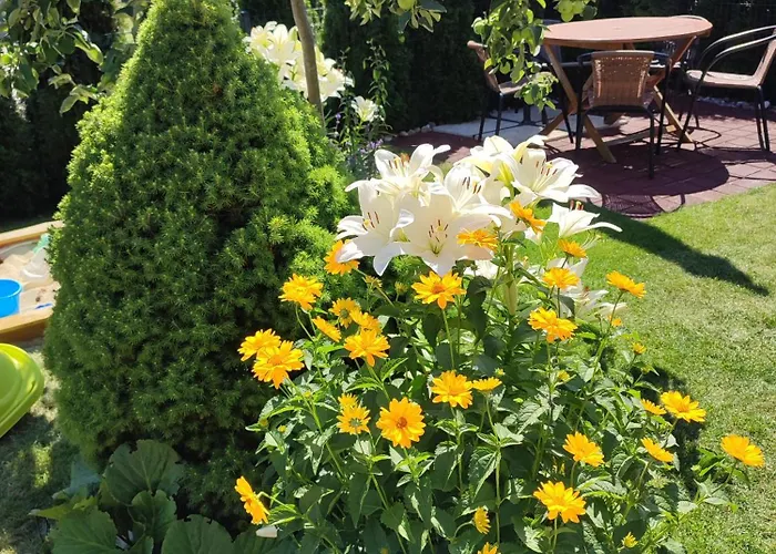 Geltoni Apartamentai Połąga