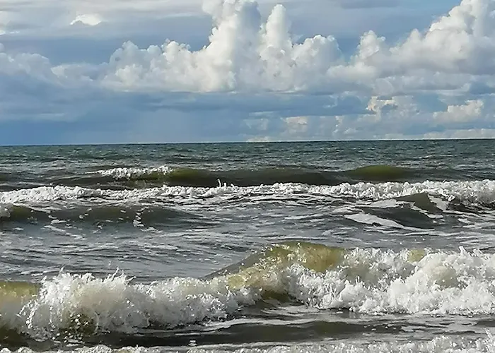 Apartament Geltoni Apartamentai