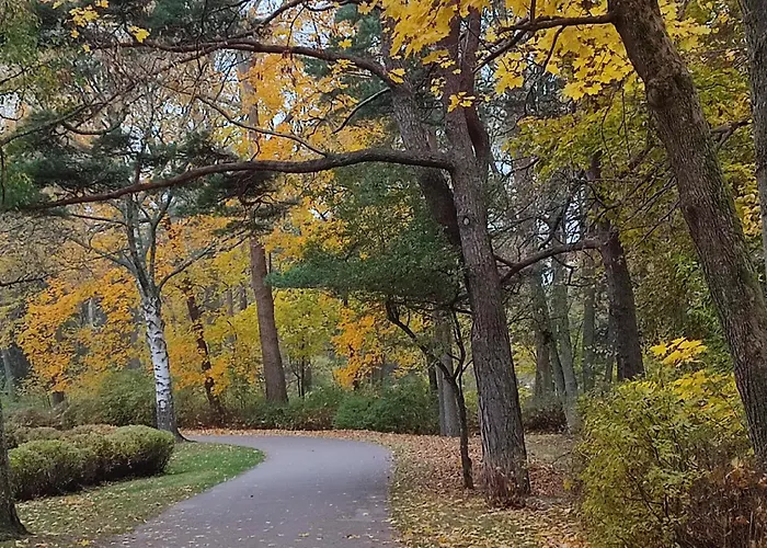 Geltoni Apartamentai * Połąga